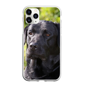 Чехол для iPhone 11 Pro матовый с принтом Лабрадор , Силикон |  | животное | лабрадор | порода | собака
