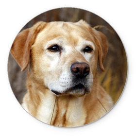 Коврик круглый с принтом Лабрадор , резина и полиэстер | круглая форма, изображение наносится на всю лицевую часть | животное | лабрадор | порода | собака