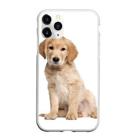 Чехол для iPhone 11 Pro Max матовый с принтом Золотистый ретривер , Силикон |  | животное | золотистый ретривер | порода | собака