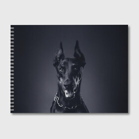 Альбом для рисования с принтом Доберман , 100% бумага
 | матовая бумага, плотность 200 мг. | доберман | животное | порода | собака