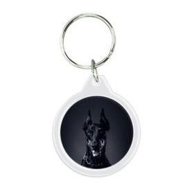 Брелок круглый с принтом Доберман , пластик и полированная сталь | круглая форма, металлическое крепление в виде кольца | доберман | животное | порода | собака