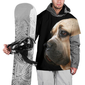 Накидка на куртку 3D с принтом Канне корсо , 100% полиэстер |  | Тематика изображения на принте: животное | канне корсо | порода | собака