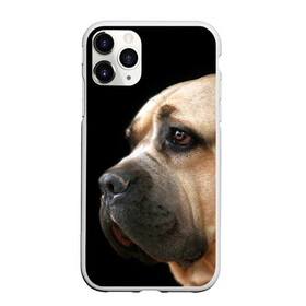 Чехол для iPhone 11 Pro Max матовый с принтом Канне корсо , Силикон |  | животное | канне корсо | порода | собака
