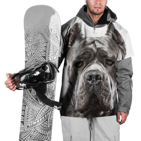 Накидка на куртку 3D с принтом Канне корсо , 100% полиэстер |  | животное | канне корсо | порода | собака