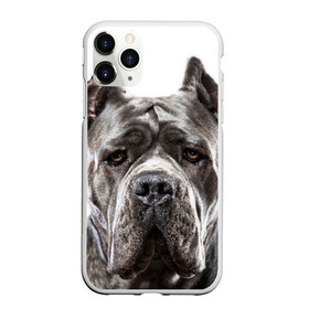 Чехол для iPhone 11 Pro Max матовый с принтом Канне корсо , Силикон |  | животное | канне корсо | порода | собака