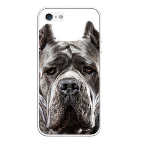 Чехол для iPhone 5/5S матовый с принтом Канне корсо , Силикон | Область печати: задняя сторона чехла, без боковых панелей | животное | канне корсо | порода | собака