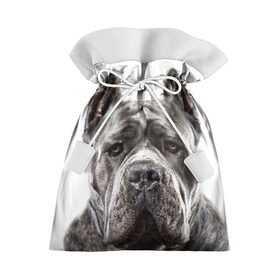 Подарочный 3D мешок с принтом Канне корсо , 100% полиэстер | Размер: 29*39 см | Тематика изображения на принте: животное | канне корсо | порода | собака