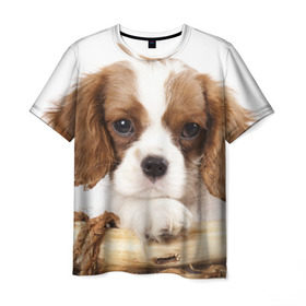 Мужская футболка 3D с принтом Кинг чарльз спаниель , 100% полиэфир | прямой крой, круглый вырез горловины, длина до линии бедер | животное | кинг чарльз спаниель | порода | собака