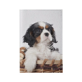 Обложка для паспорта матовая кожа с принтом Кинг чарльз спаниель , натуральная матовая кожа | размер 19,3 х 13,7 см; прозрачные пластиковые крепления | животное | кинг чарльз спаниель | порода | собака
