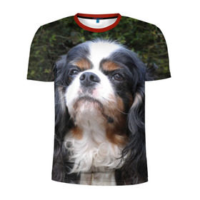 Мужская футболка 3D спортивная с принтом Кинг чарльз спаниель , 100% полиэстер с улучшенными характеристиками | приталенный силуэт, круглая горловина, широкие плечи, сужается к линии бедра | животное | кинг чарльз спаниель | порода | собака