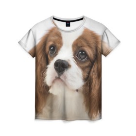 Женская футболка 3D с принтом Кинг чарльз спаниель , 100% полиэфир ( синтетическое хлопкоподобное полотно) | прямой крой, круглый вырез горловины, длина до линии бедер | животное | кинг чарльз спаниель | порода | собака