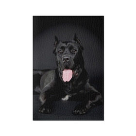 Обложка для паспорта матовая кожа с принтом Канне корсо , натуральная матовая кожа | размер 19,3 х 13,7 см; прозрачные пластиковые крепления | животное | канне корсо | порода | собака