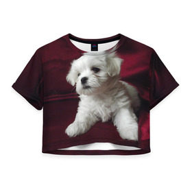 Женская футболка 3D укороченная с принтом Мальтийская болонка , 100% полиэстер | круглая горловина, длина футболки до линии талии, рукава с отворотами | животное | мальтийская болонка | порода | собака