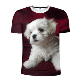 Мужская футболка 3D спортивная с принтом Мальтийская болонка , 100% полиэстер с улучшенными характеристиками | приталенный силуэт, круглая горловина, широкие плечи, сужается к линии бедра | животное | мальтийская болонка | порода | собака