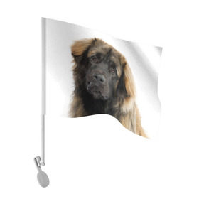 Флаг для автомобиля с принтом Леонбергер , 100% полиэстер | Размер: 30*21 см | животное | леонбергер | порода | собака