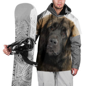 Накидка на куртку 3D с принтом Леонбергер , 100% полиэстер |  | Тематика изображения на принте: животное | леонбергер | порода | собака