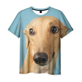 Мужская футболка 3D с принтом Левретка , 100% полиэфир | прямой крой, круглый вырез горловины, длина до линии бедер | животное | порода | собака