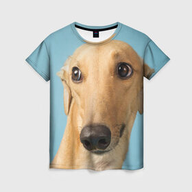 Женская футболка 3D с принтом Левретка , 100% полиэфир ( синтетическое хлопкоподобное полотно) | прямой крой, круглый вырез горловины, длина до линии бедер | животное | порода | собака