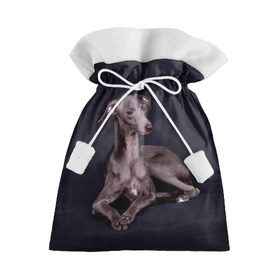 Подарочный 3D мешок с принтом Левретка , 100% полиэстер | Размер: 29*39 см | Тематика изображения на принте: животное | порода | собака