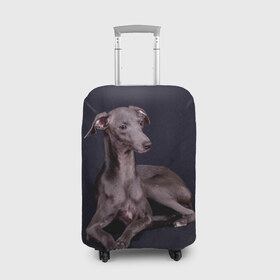 Чехол для чемодана 3D с принтом Левретка , 86% полиэфир, 14% спандекс | двустороннее нанесение принта, прорези для ручек и колес | животное | порода | собака