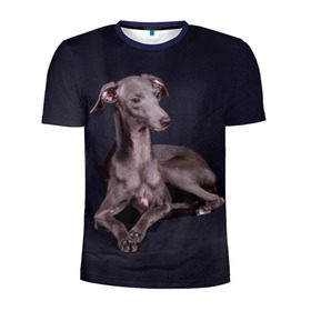 Мужская футболка 3D спортивная с принтом Левретка , 100% полиэстер с улучшенными характеристиками | приталенный силуэт, круглая горловина, широкие плечи, сужается к линии бедра | животное | порода | собака