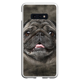 Чехол для Samsung S10E с принтом Мопс , Силикон | Область печати: задняя сторона чехла, без боковых панелей | животное | мопс | порода | собака
