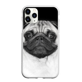 Чехол для iPhone 11 Pro матовый с принтом Мопс , Силикон |  | животное | мопс | порода | собака