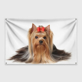 Флаг-баннер с принтом Йоркширский терьер , 100% полиэстер | размер 67 х 109 см, плотность ткани — 95 г/м2; по краям флага есть четыре люверса для крепления | животное | йоркширский терьер | порода | собака