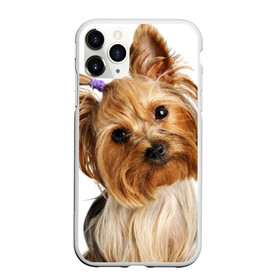 Чехол для iPhone 11 Pro Max матовый с принтом Йоркширский терьер , Силикон |  | животное | йоркширский терьер | порода | собака