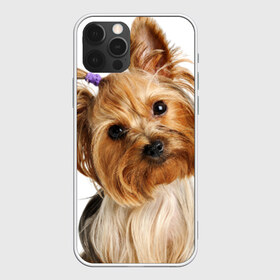 Чехол для iPhone 12 Pro Max с принтом Йоркширский терьер , Силикон |  | Тематика изображения на принте: животное | йоркширский терьер | порода | собака