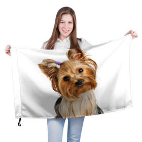 Флаг 3D с принтом Йоркширский терьер , 100% полиэстер | плотность ткани — 95 г/м2, размер — 67 х 109 см. Принт наносится с одной стороны | животное | йоркширский терьер | порода | собака
