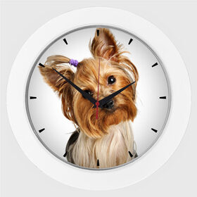Настенные часы с принтом Йоркширский терьер ,  |  | животное | йоркширский терьер | порода | собака