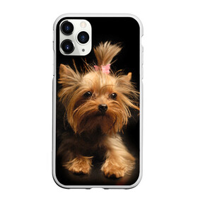 Чехол для iPhone 11 Pro Max матовый с принтом Йоркширский терьер , Силикон |  | животное | йоркширский терьер | порода | собака