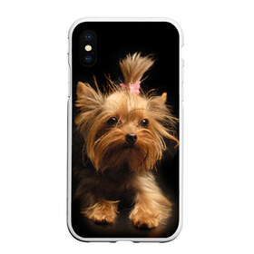Чехол для iPhone XS Max матовый с принтом Йоркширский терьер , Силикон | Область печати: задняя сторона чехла, без боковых панелей | Тематика изображения на принте: животное | йоркширский терьер | порода | собака
