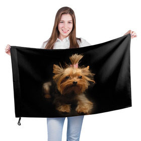 Флаг 3D с принтом Йоркширский терьер , 100% полиэстер | плотность ткани — 95 г/м2, размер — 67 х 109 см. Принт наносится с одной стороны | животное | йоркширский терьер | порода | собака