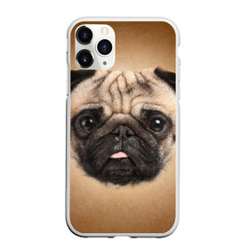 Чехол для iPhone 11 Pro матовый с принтом Мопс , Силикон |  | животное | мопс | порода | собака