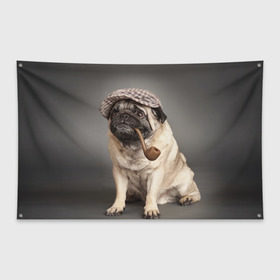Флаг-баннер с принтом Мопс в кепке , 100% полиэстер | размер 67 х 109 см, плотность ткани — 95 г/м2; по краям флага есть четыре люверса для крепления | Тематика изображения на принте: животное | мопс | порода | собака