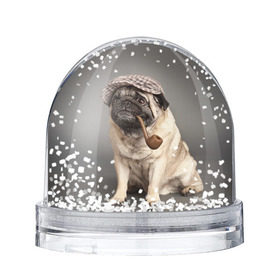 Снежный шар с принтом Мопс в кепке , Пластик | Изображение внутри шара печатается на глянцевой фотобумаге с двух сторон | животное | мопс | порода | собака