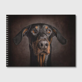 Альбом для рисования с принтом Доберман , 100% бумага
 | матовая бумага, плотность 200 мг. | Тематика изображения на принте: доберман | животное | порода | собака