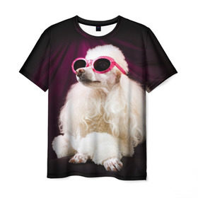 Мужская футболка 3D с принтом Пудель в очках , 100% полиэфир | прямой крой, круглый вырез горловины, длина до линии бедер | Тематика изображения на принте: животное | порода | пудель в очках | собака