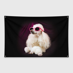 Флаг-баннер с принтом Пудель в очках , 100% полиэстер | размер 67 х 109 см, плотность ткани — 95 г/м2; по краям флага есть четыре люверса для крепления | животное | порода | пудель в очках | собака