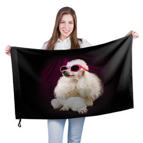 Флаг 3D с принтом Пудель в очках , 100% полиэстер | плотность ткани — 95 г/м2, размер — 67 х 109 см. Принт наносится с одной стороны | животное | порода | пудель в очках | собака