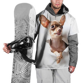 Накидка на куртку 3D с принтом Той-терьер , 100% полиэстер |  | Тематика изображения на принте: животное | порода | собака | той терьер