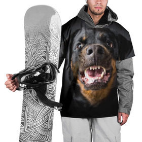 Накидка на куртку 3D с принтом Ротвейлер , 100% полиэстер |  | Тематика изображения на принте: животное | порода | ротвейлер | собака