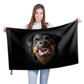 Флаг 3D с принтом Ротвейлер , 100% полиэстер | плотность ткани — 95 г/м2, размер — 67 х 109 см. Принт наносится с одной стороны | животное | порода | ротвейлер | собака