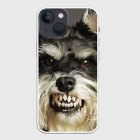 Чехол для iPhone 13 mini с принтом Цвергшнауцер ,  |  | Тематика изображения на принте: животное | порода | собака | цвергшнауцер