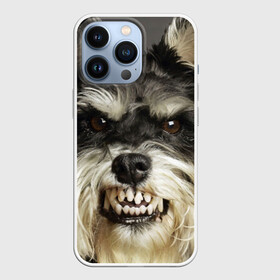 Чехол для iPhone 13 Pro с принтом Цвергшнауцер ,  |  | Тематика изображения на принте: животное | порода | собака | цвергшнауцер