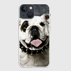 Чехол для iPhone 13 mini с принтом Английский бульдог ,  |  | животное | порода | собака | французский бульдог