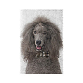 Обложка для паспорта матовая кожа с принтом Пудель , натуральная матовая кожа | размер 19,3 х 13,7 см; прозрачные пластиковые крепления | животное | порода | пудель | собака