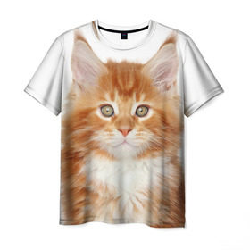 Мужская футболка 3D с принтом Рыжий котенок , 100% полиэфир | прямой крой, круглый вырез горловины, длина до линии бедер | Тематика изображения на принте: животное | порода | рыжий котенок